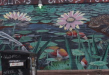 Cities lead as streams, wetlands and water protections are gutted Wetlands