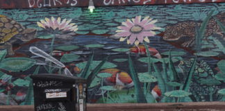 Cities lead as streams, wetlands and water protections are gutted Wetlands