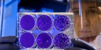 Anti-science in the age of COVID-19 and the local response